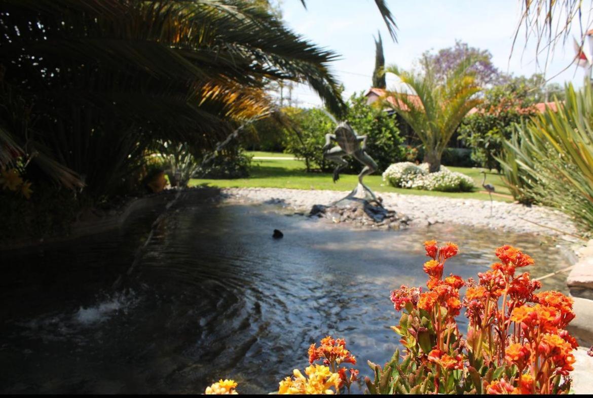 Hotel Palmas Teotihuacan San Juan Teotihuacán Eksteriør bilde